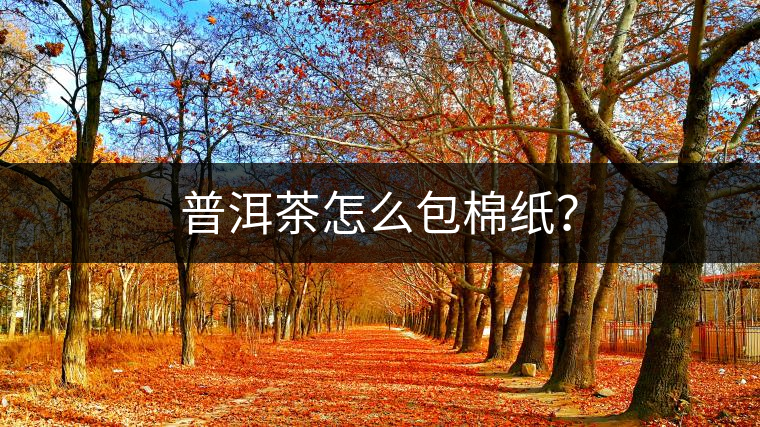 普洱茶怎么包棉紙？