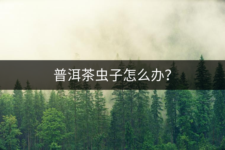 普洱茶蟲子怎么辦？