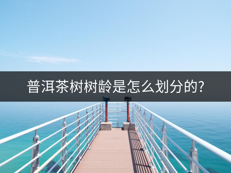 普洱茶樹(shù)樹(shù)齡是怎么劃分的?