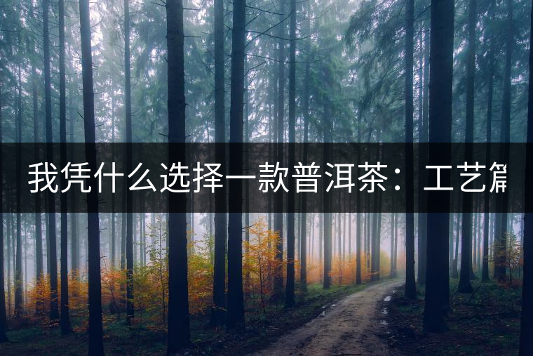 我憑什么選擇一款普洱茶：工藝篇？