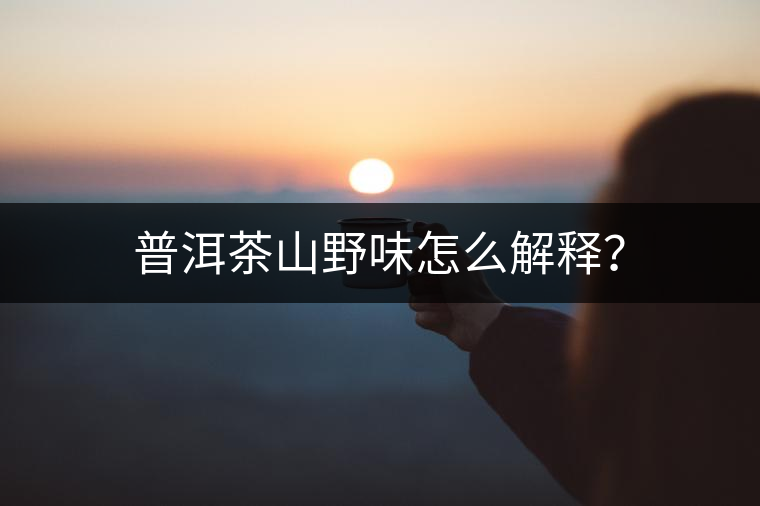 普洱茶山野味怎么解釋？