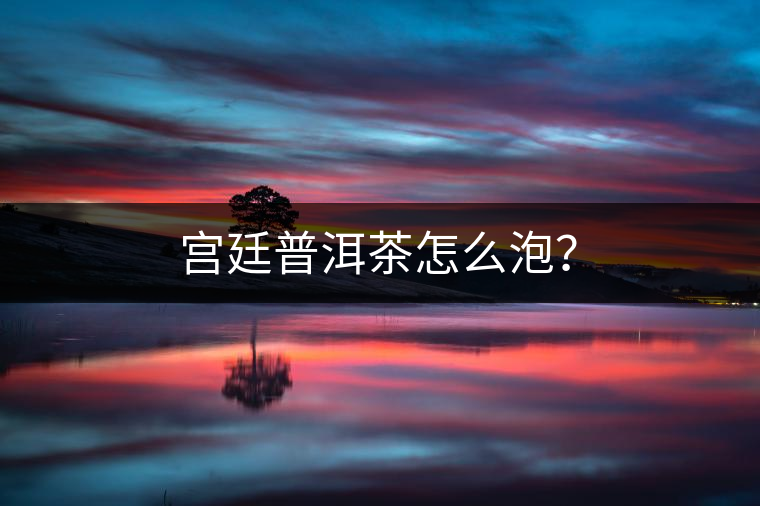 宮廷普洱茶怎么泡？