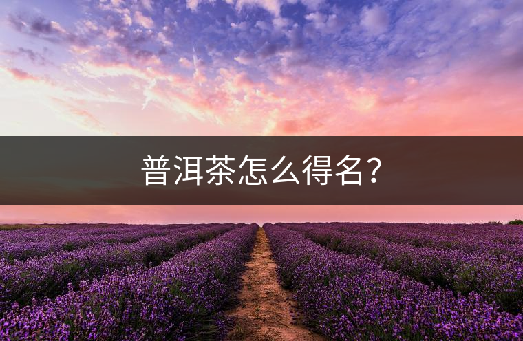 普洱茶怎么得名？