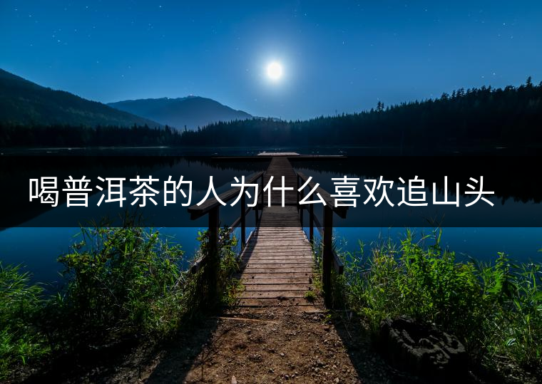 喝普洱茶的人為什么喜歡追山頭？無非就是這幾個原因