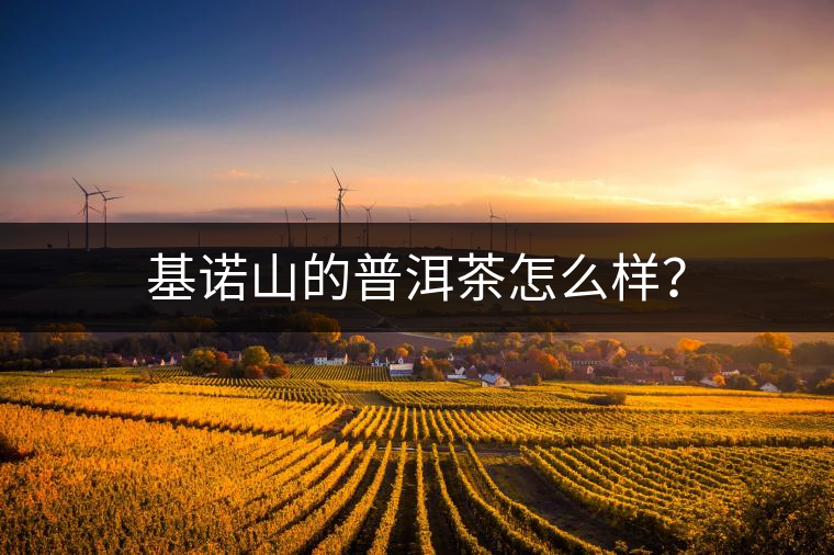 基諾山的普洱茶怎么樣？