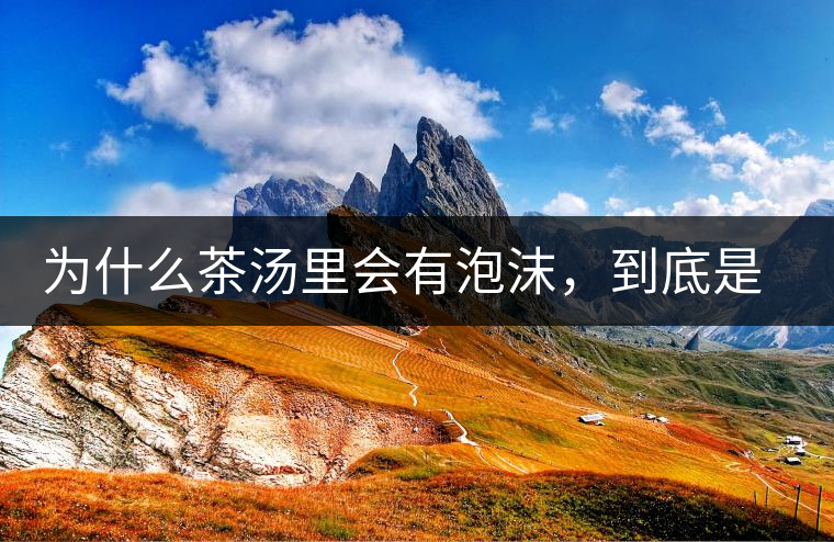 為什么茶湯里會有泡沫，到底是怎么回事？