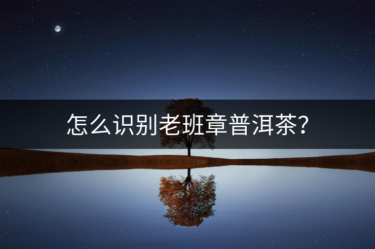 怎么識別老班章普洱茶？