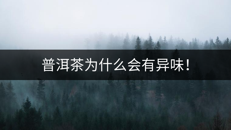 普洱茶為什么會有異味！