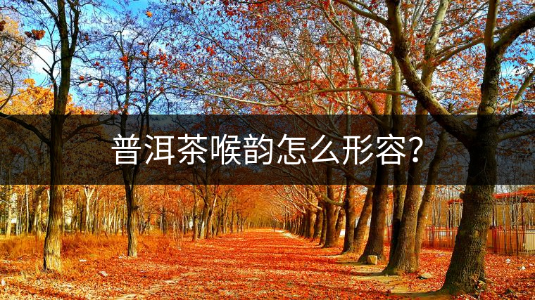 普洱茶喉韻怎么形容？