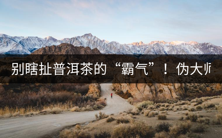 別瞎扯普洱茶的“霸氣”！偽大師！