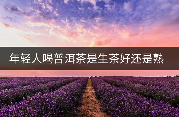 年輕人喝普洱茶是生茶好還是熟茶好？該怎么選擇？