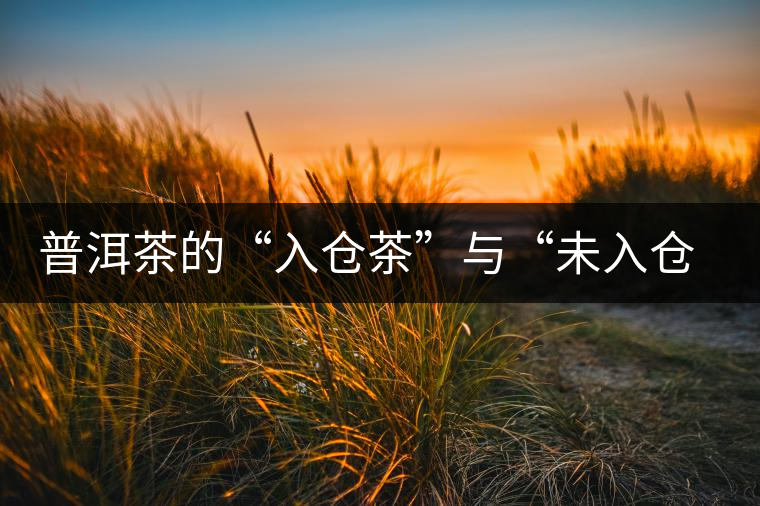 普洱茶的“入倉茶”與“未入倉茶”如何區(qū)分，你造嗎？