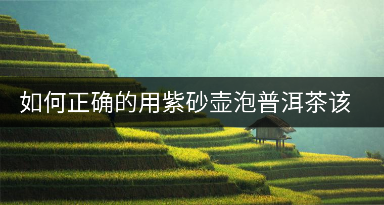 如何正確的用紫砂壺泡普洱茶該?這5點(diǎn)最重要 如何正確的用紫砂壺泡普洱茶該?這5點(diǎn)最重要