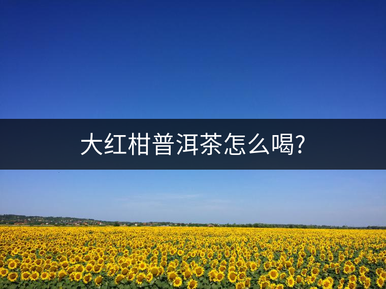 大紅柑普洱茶怎么喝? 大紅柑普洱茶怎么喝?