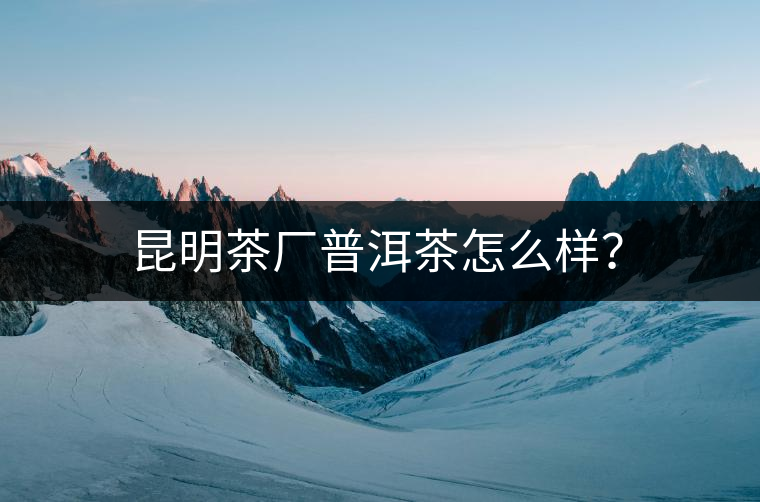 昆明茶廠普洱茶怎么樣？