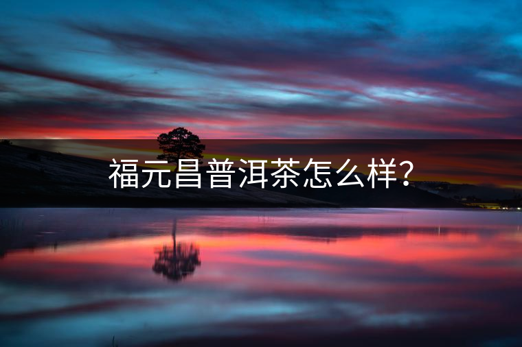 福元昌普洱茶怎么樣？