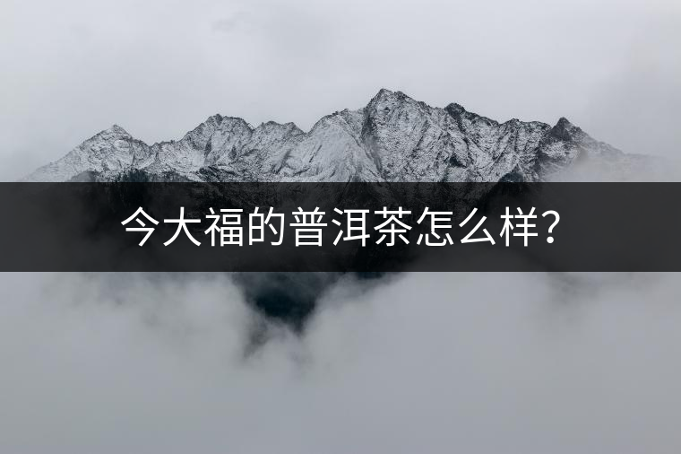 今大福的普洱茶怎么樣？