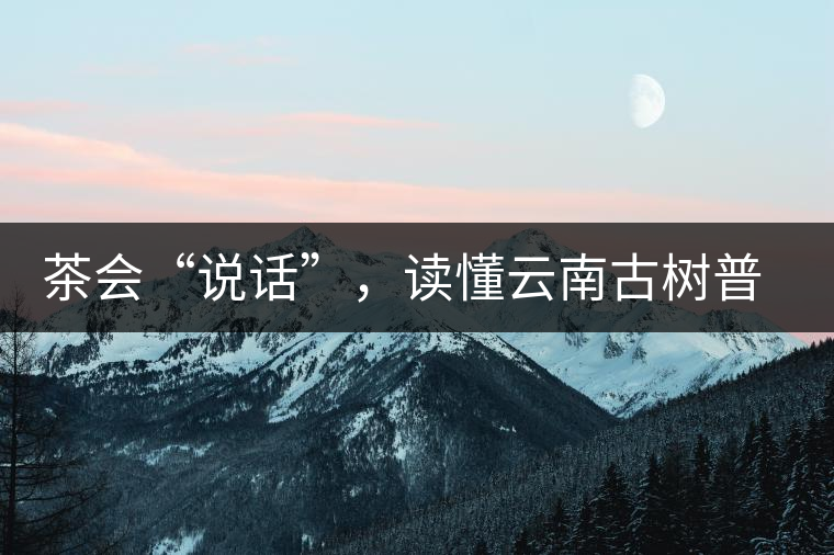 茶會(huì)“說(shuō)話”，讀懂云南古樹普洱茶的秘訣