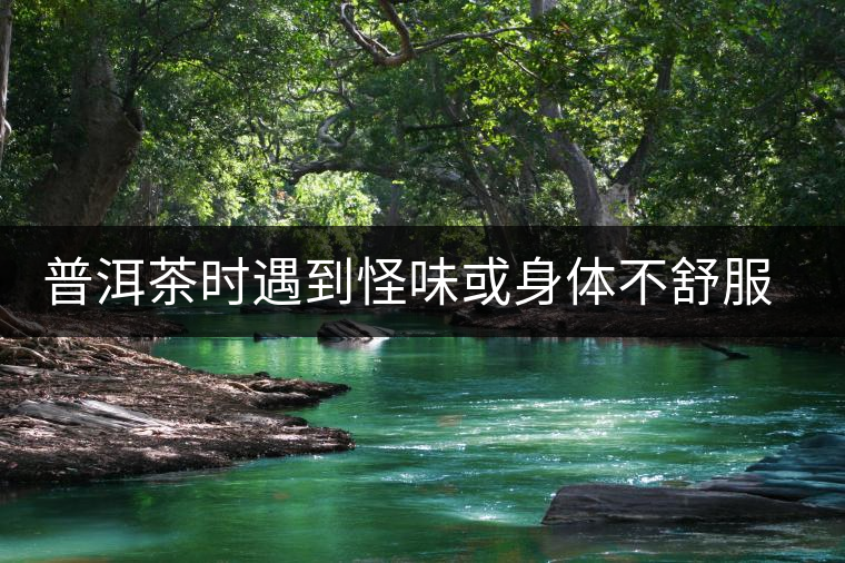普洱茶時遇到怪味或身體不舒服時，怎么破？
