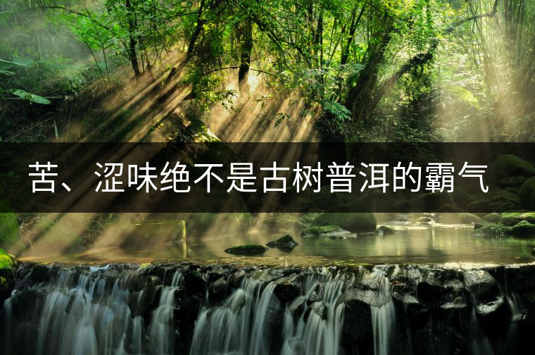 苦、澀味絕不是古樹(shù)普洱的霸氣，那也叫懂普洱茶，別逗了！