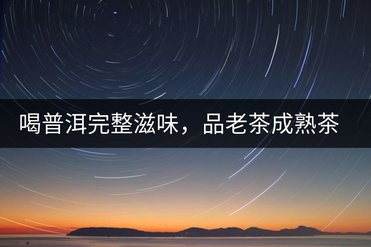 喝普洱完整滋味，品老茶成熟茶湯