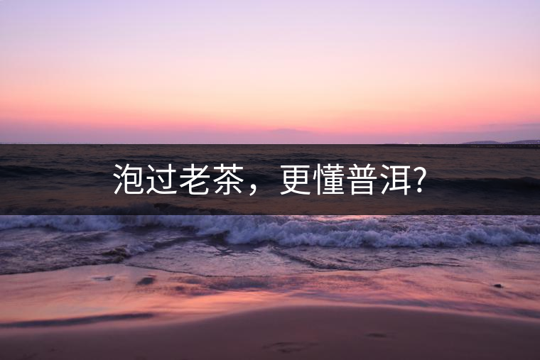 泡過老茶，更懂普洱?