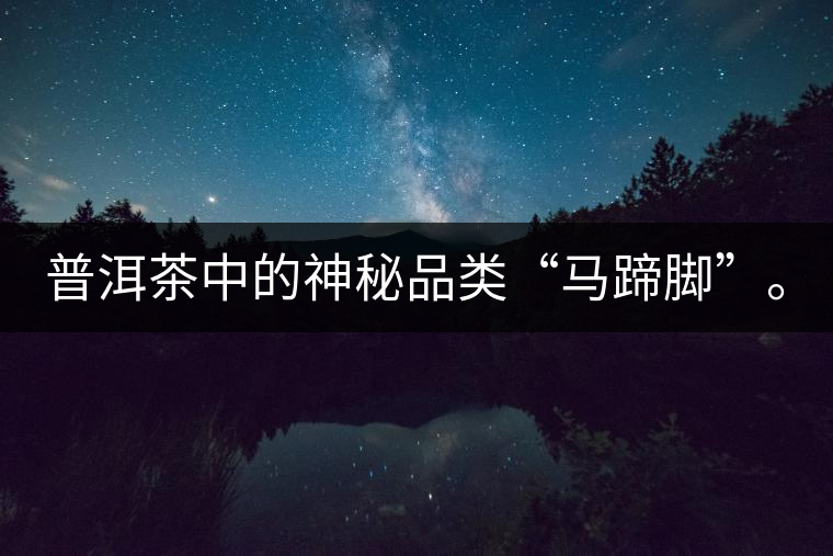 普洱茶中的神秘品類“馬蹄腳”。