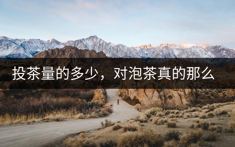 投茶量的多少，對泡茶真的那么重要嗎？
