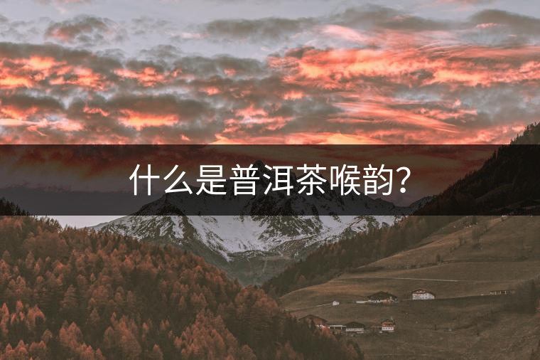 什么是普洱茶喉韻？