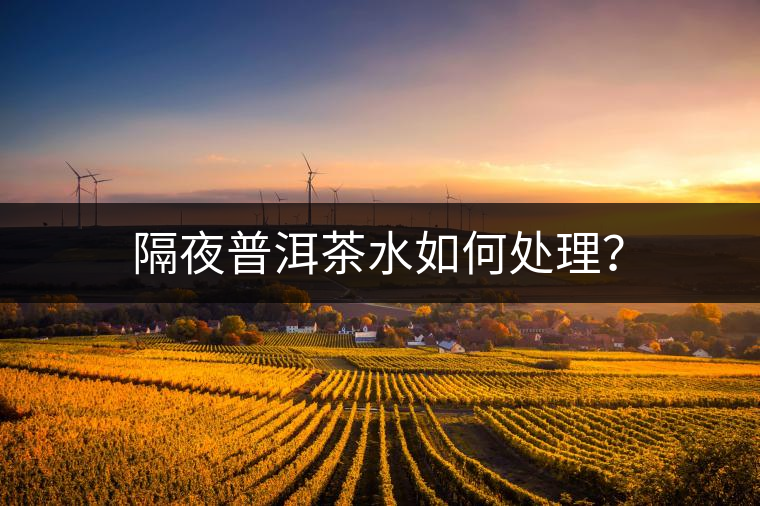 隔夜普洱茶水如何處理？