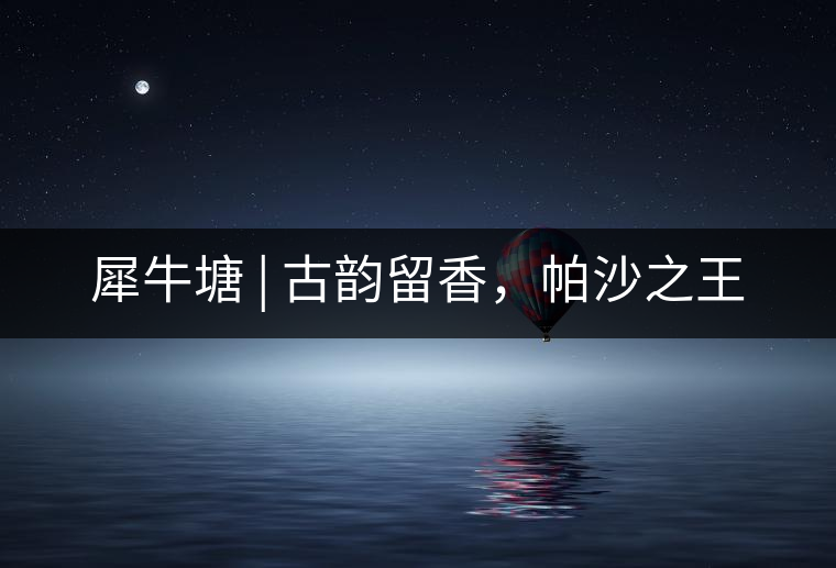 犀牛塘 | 古韻留香，帕沙之王