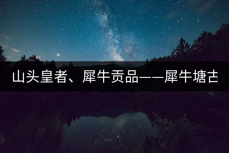 山頭皇者、犀牛貢品——犀牛塘古樹(shù)茶！