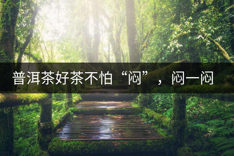 普洱茶好茶不怕“悶”，悶一悶看本味