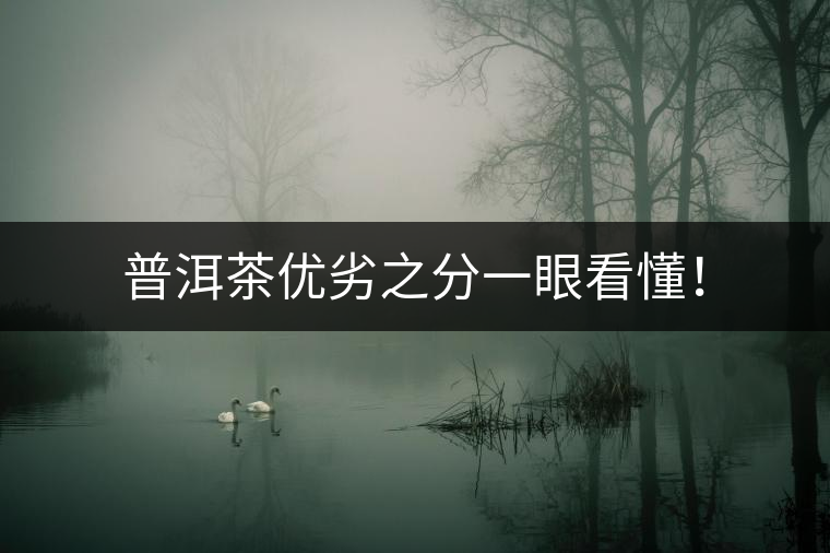 普洱茶優(yōu)劣之分一眼看懂！