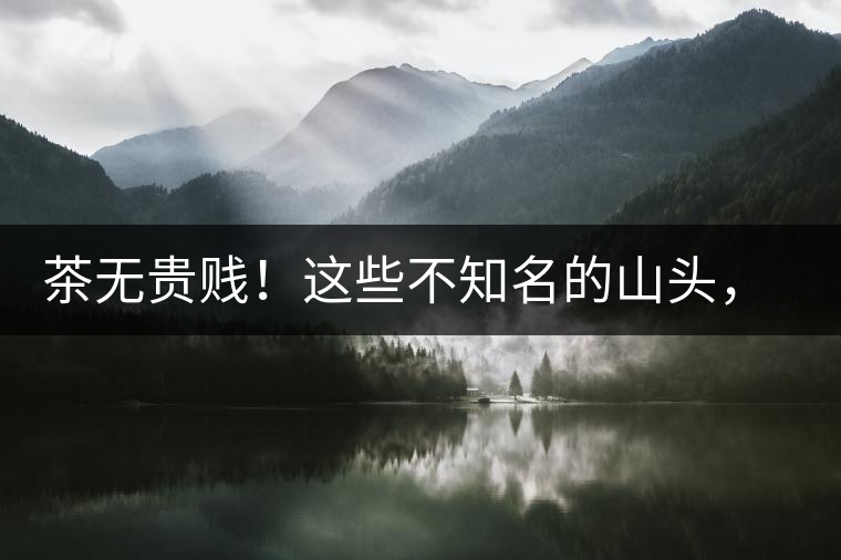 茶無貴賤！這些不知名的山頭，其實(shí)也產(chǎn)優(yōu)質(zhì)普洱茶！