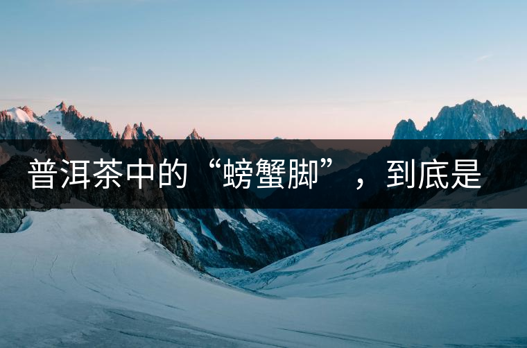 普洱茶中的“螃蟹腳”，到底是什么？如何辨別？