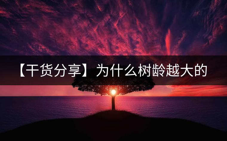 【干貨分享】為什么樹(shù)齡越大的普洱生茶，苦味越容易化掉？