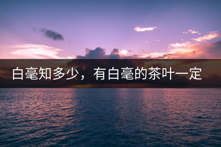白毫知多少，有白毫的茶葉一定好嗎？