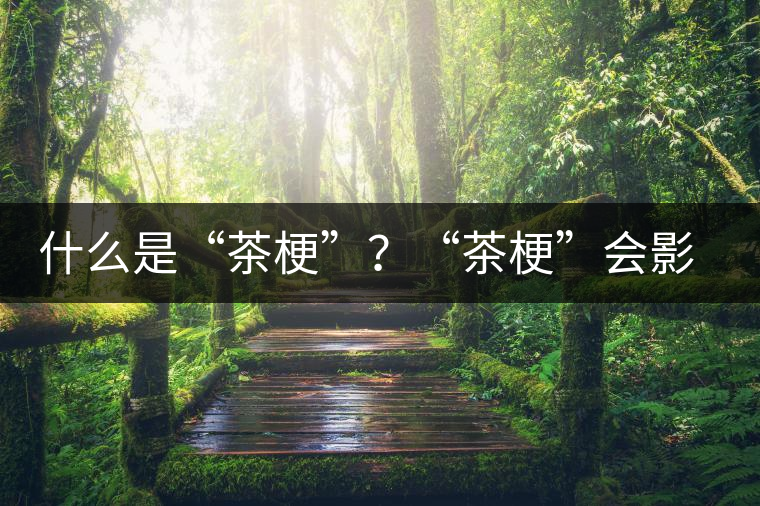 什么是“茶?！保俊安韫！睍绊懫斩杵焚|(zhì)？