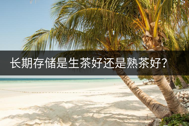 長期存儲是生茶好還是熟茶好?(科學(xué)權(quán)威解析) 長期存儲是生茶好還是熟茶好?(科學(xué)權(quán)威解析)