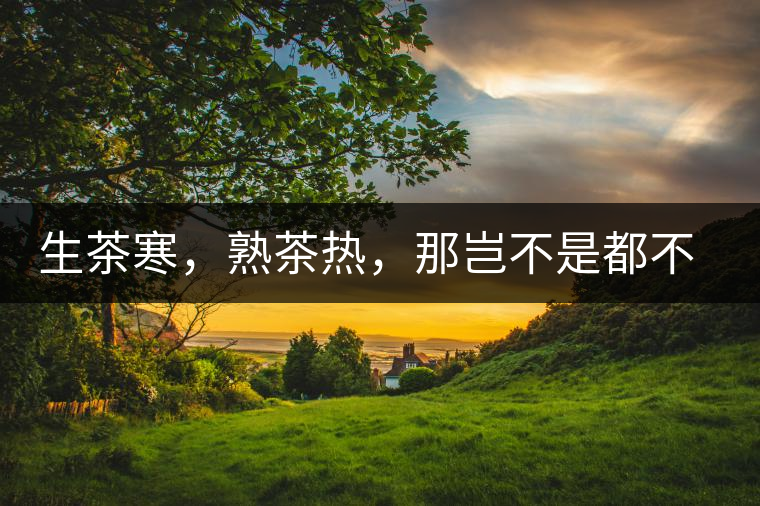 生茶寒，熟茶熱，那豈不是都不能喝了？丨實(shí)用