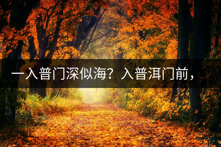 一入普門深似海？入普洱門前，你需要了解這些