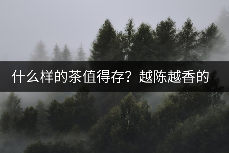 什么樣的茶值得存？越陳越香的本質(zhì)是什么？