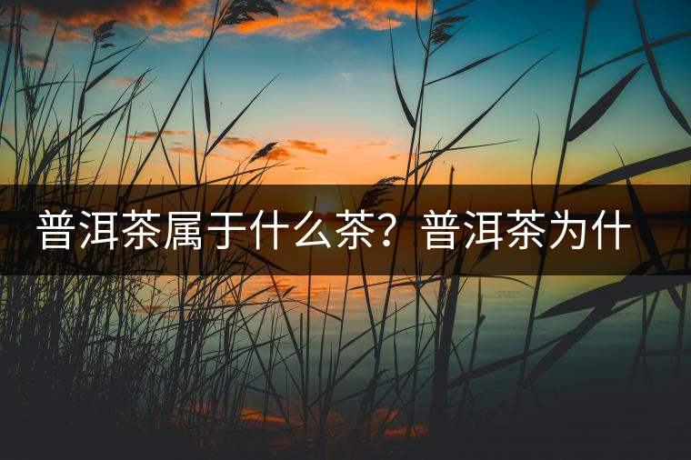 普洱茶屬于什么茶？普洱茶為什么會越陳越香？