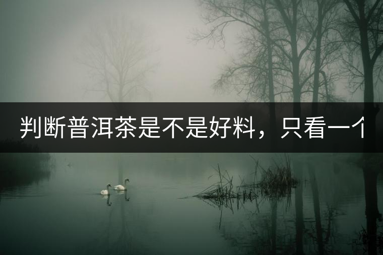 判斷普洱茶是不是好料，只看一個地方！