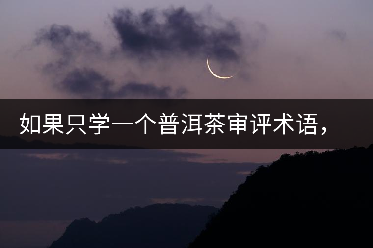 如果只學(xué)一個(gè)普洱茶審評(píng)術(shù)語，那應(yīng)該是什么？