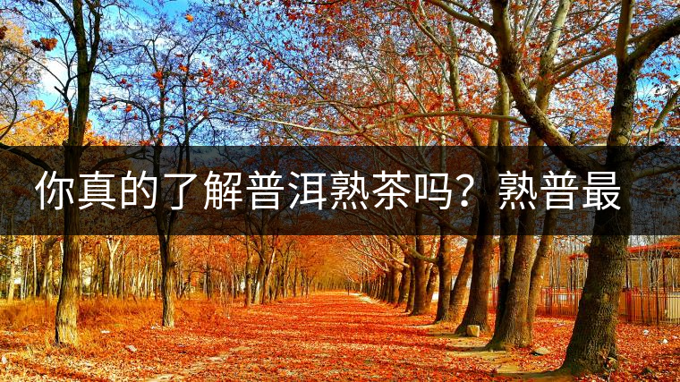 你真的了解普洱熟茶嗎？熟普最詳細(xì)的揭秘都在這里了。