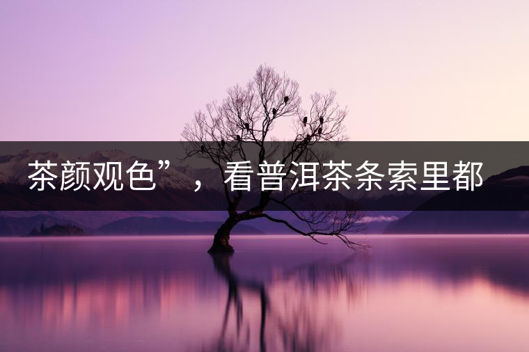 茶顏觀色”，看普洱茶條索里都蘊(yùn)含著怎樣的“密碼”？