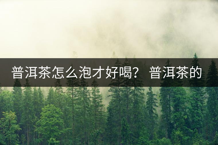 普洱茶怎么泡才好喝？ 普洱茶的沖泡技巧！