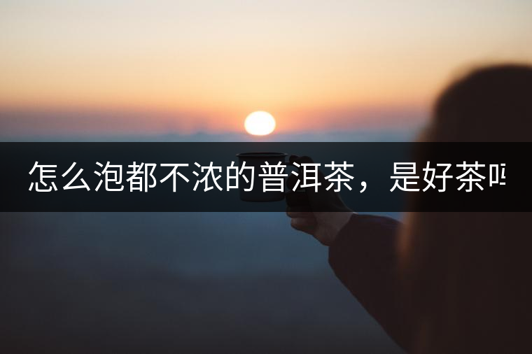 怎么泡都不濃的普洱茶，是好茶嗎？